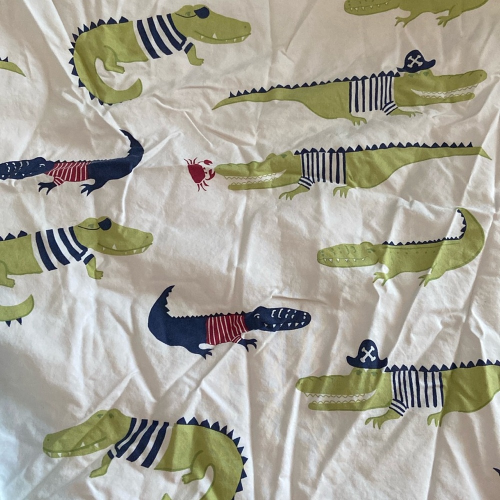 Pottery barn set of twin sheets